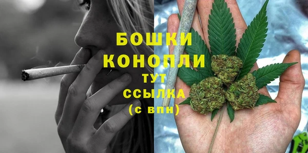 сатива Абдулино