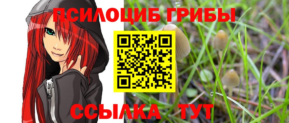 Галлюциногенные грибы Magic Shrooms  Галлюциногенные грибы мицелий  Вход с VPN  Азнакаево 