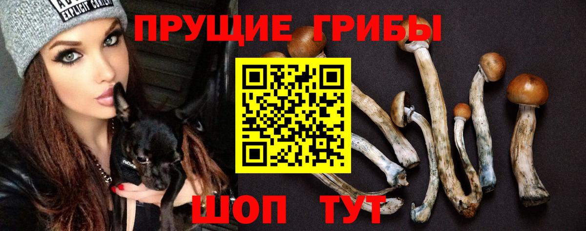Галлюциногенные грибы Psilocybine cubensis Азнакаево